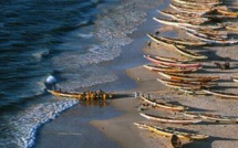 Le manque à gagner de la pêche illégale au Sénégal