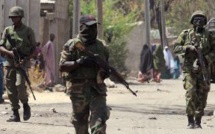 Nigeria: Boko Haram s'empare d'une base militaire sur les rives du lac Tchad