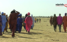 VIDEO – IMPRESSIONNANTE MARCHE DU NDIAEL CONTRE SEN HUILE: des ossements des cimetières détruits exposés..