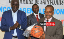 SPORT- BASKET: Le CNBS magnifie les performances « exceptionnelles » des équipes de Saint-Louis.