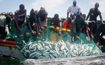 Baisse de l’activité de la pêche à Saint-Louis (moins 18,3%) en 2014.