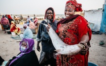 Mauritanie 2000 : vers l’indépendance économique des femmes de la filière pêche