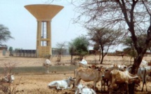 Médina Gounass réclame un nouveau forage