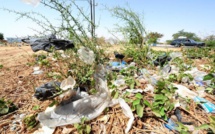 Loi: Les députés sénégalais votent à l’unanimité la fin des sachets plastiques