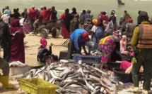 Exploitation du gaz en Mauritanie : le tiraillement des communautés de pêcheurs