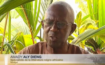 HOMMAGE À   AMADY ALY DIENG : ADIEU MAÎTRE ! Par Alpha Amadou SY