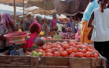 Sénégal : poursuite du repli de l'indice du chiffre d'affaires du commerce