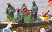 Emprise de BP sur "Diatara" : les pêcheurs de Saint-Louis étalent leurs souffrances ...