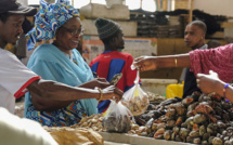 Sénégal : La croissance économique projetée à plus de 10 % en 2025 (FMI)