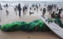 URGENT: Interdiction de la baignade sur les plages de Saint-Louis, le 15 et 16 août 2015 ( arrêté préfectoral).