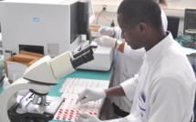 Touba accueille le premier laboratoire décentralisé de l'Institut Pasteur