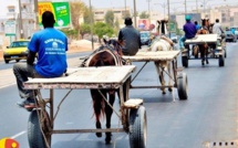 Traffic urbain : à Dakar, les "charrettes" interdites dans le département à partir de ce lundi