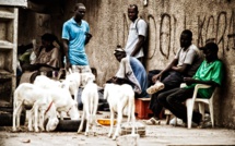 Au Sénégal, les chiffres alarmants du chômage