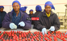 AUTOSUFFISANCE ALIMENTAIRE : West Africa Farms noue un partenariat agricole avec l’Université de Thiès.